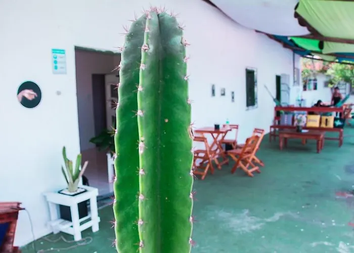 Hostel Mineiros
